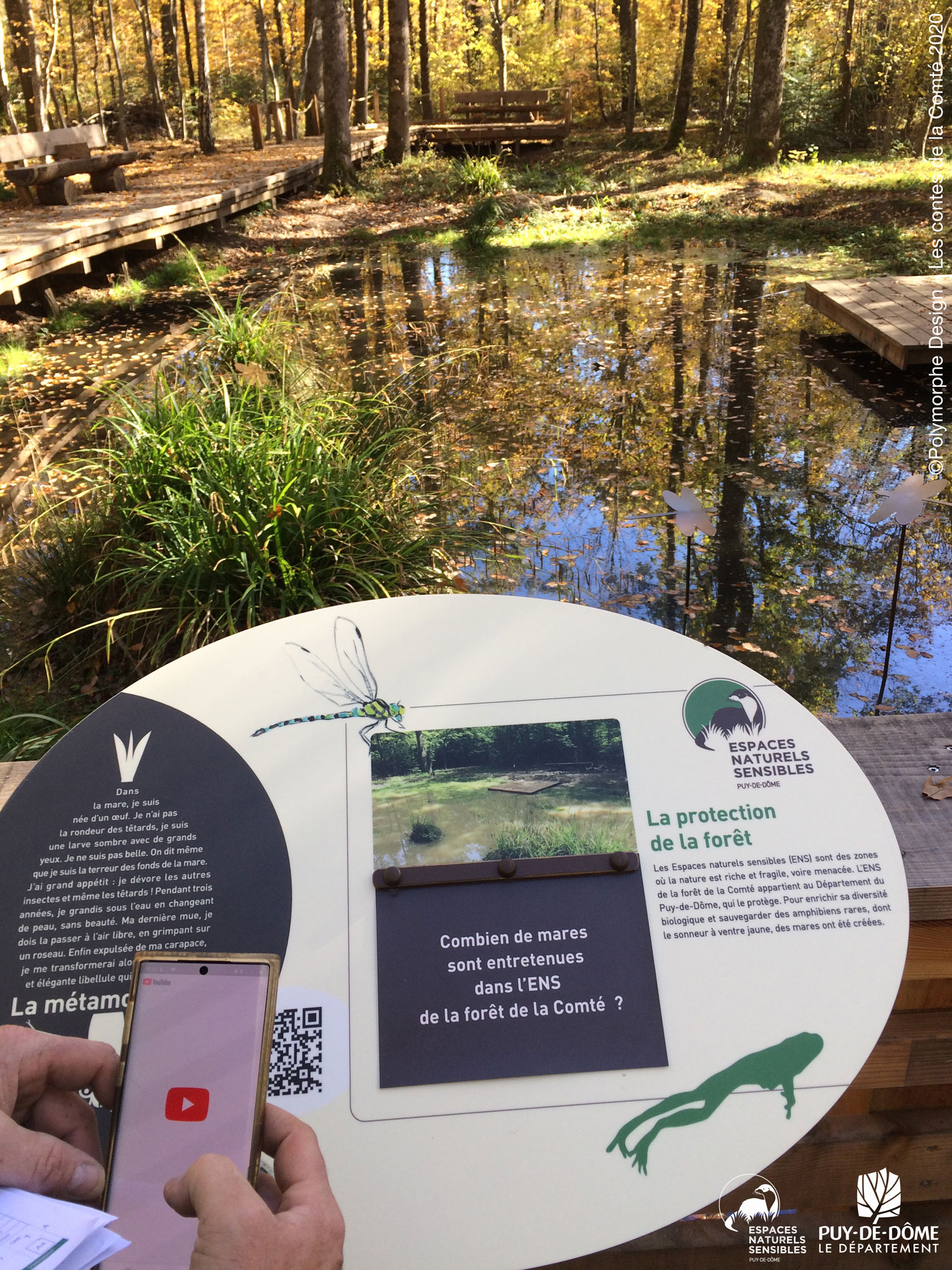 La mare p�dagogique sur le sentier des contes de la Comt� 